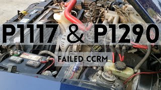 P1117 & P1290 (New Edge Mustang)