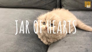 Download lagu Jar of Hearts (remix lofi) - Fasetya // Dangling  (Video  Lyrics) mp3 Download lagu Jar of Hearts (remix lofi) - Fasetya // Dangling  (Video  Lyrics) mp3