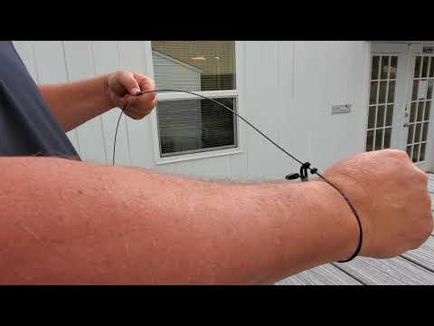 Fox Removal in Monmouth Beach, NJ