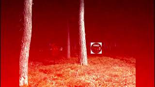 Nature wonders (part 6)