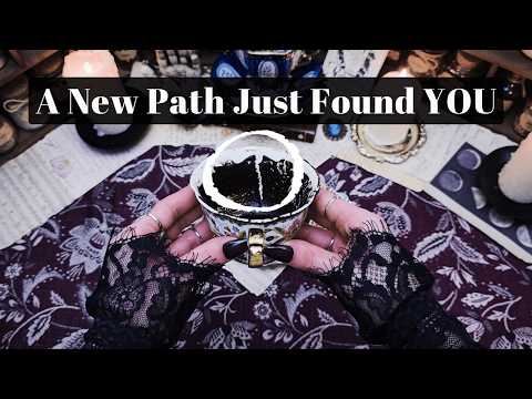 A New Path Just Found You And It Leads Somewhere You've Always Wanted to Be