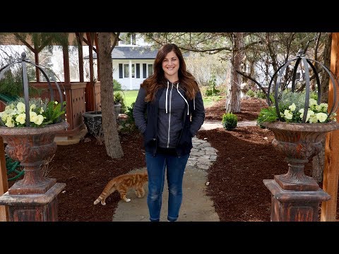 download lagu mp3 mp4 Spring Garden Garden, download lagu Spring Garden Garden gratis, unduh video klip Spring Garden Garden