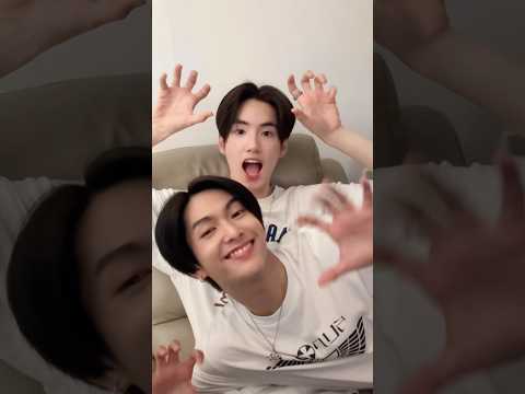 Meow 〰️😸😻 #PHUTATCHAI #COPPERdechawat #BUSbecauseofyouishine