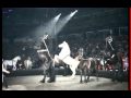 Ringling Brothers And Barnum And Bailey Horses