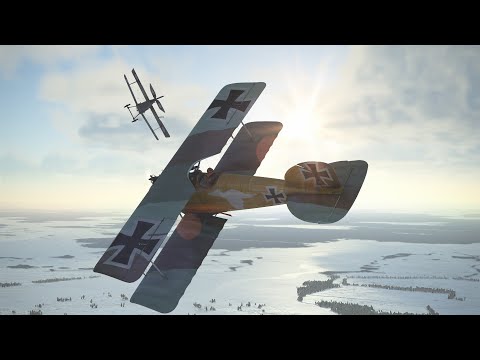 Albatros DII Eastern Front IL-2 Flying Circus