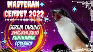 Download lagu Masteran Cendet Full Variasi 2022 | Tembakan Roll Speed Rapat Kunti, Tengkek Buto, Gereja Tarung, Lb mp3