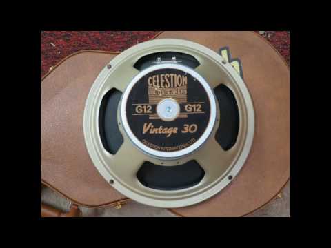celestion alnico gold 10
