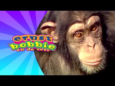 Liedjes met Ernst en Bobbie - Met Apen Kun je Lachen