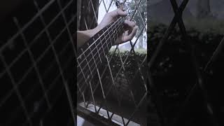 Download lagu setory wa gitar di pagi hari , prank teman mp3 Download lagu setory wa gitar di pagi hari , prank teman mp3