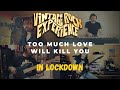 Vintage Rock Experience: Too much love will kill you in lockdown