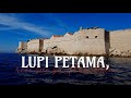 Lupi Petama