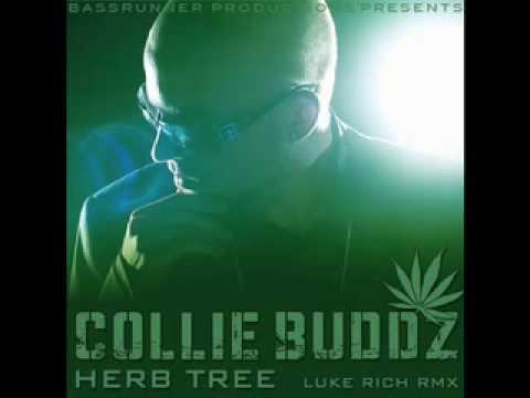 Collie Buddz - HERB TREE (Luke Rich Remix)