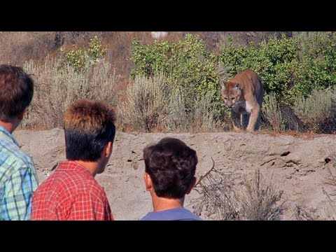 Puma explodes (HQ) | Malcolm In The Middle