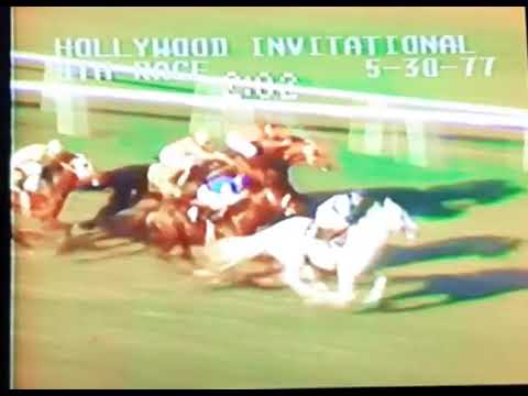 Vigors Australian Caller