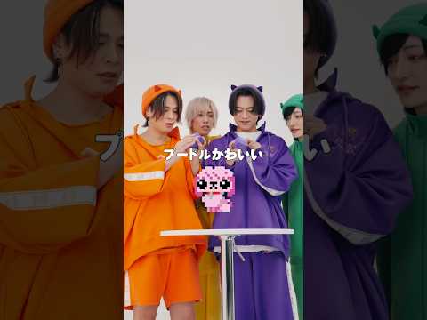 リアルピースが『わんだーはうす』で遊んでみたよ🐶🏠