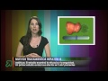 Nuevos tratamientos Hepatitis B