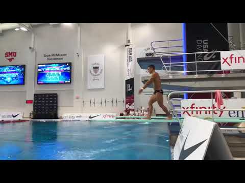 Briadam Herrera: 2018 1 Meter Diving USA National Champion
