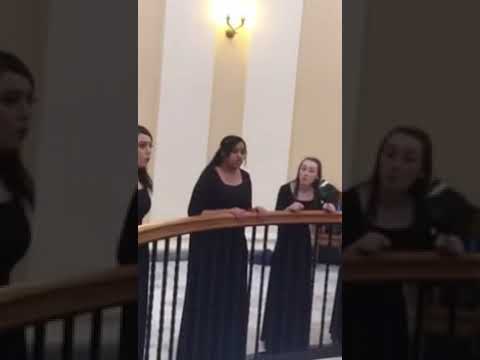 Fly (arr. Susan LaBarr)