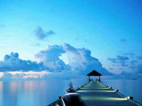 las mirlas  senor cantinero