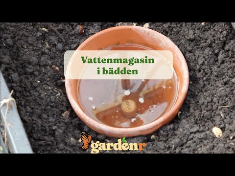 Vattenmagasin i bädden - Trädgårdshacks med GardenR