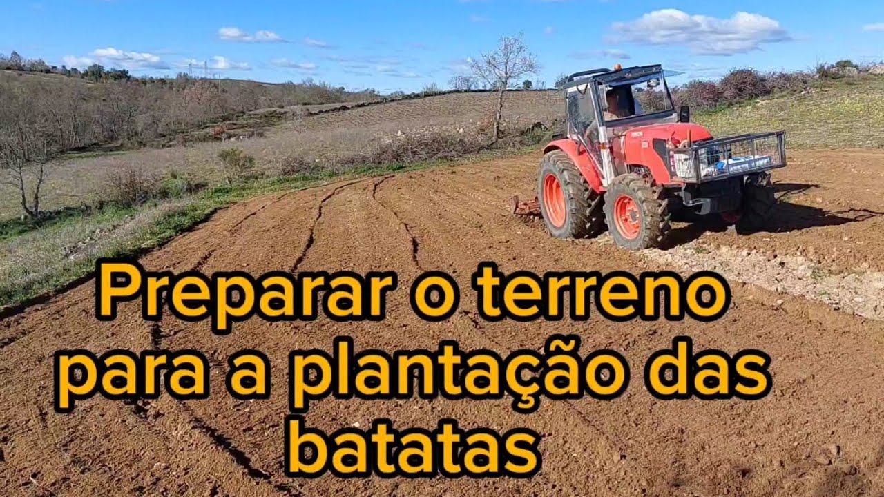 preparação do terreno para a plantação das batatas.