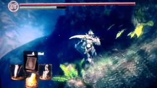 Dark souls Watchtower exact location