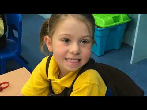 LANGLOAN PRIMARY SCHOOL, North Lanarkshire