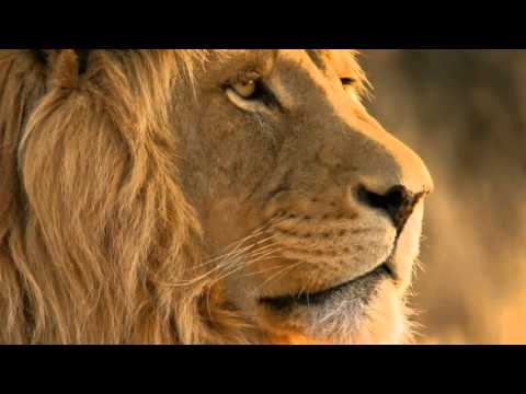 Gérson Rufino Filho de Leão