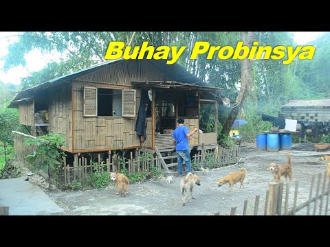 Daing na Bangus at Ginisang Puso ng Saging Napakasarap na ulam | Buhay Probinsya