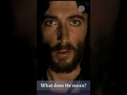 "This is my Body and this is my Blood" -  What does He mean? #eucaristia #communion #sacraments