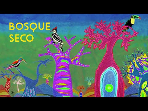 Canción del bosque seco - Jacana Jacana
