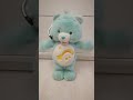 Care Bears Fit N Fun Wish Bear