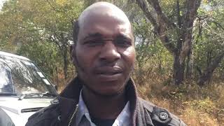 Makuhwa Makuhwa
