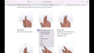 Mac How Tos: How To Use the Mouse (Trackpad) on a MacBook