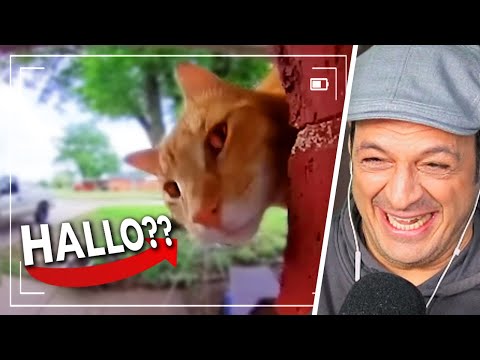 Doorbell camera slapstick!