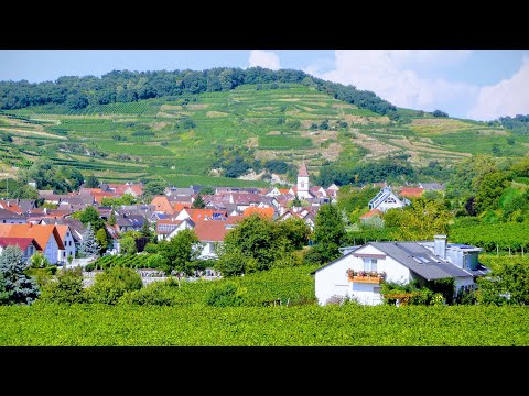 Video 11 aus  Winzerhof + Gästehaus Schätzle