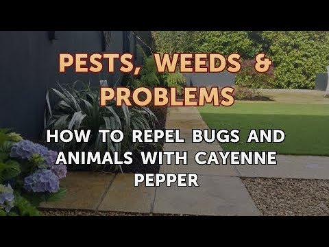 How to Repel Bugs and Animals with Cayenne Pepper
