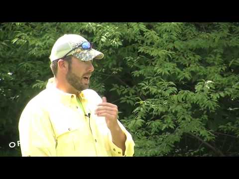 ORVIS - Fly Casting Lessons - How to Avoid Hitting Your Rod with Your Fly
