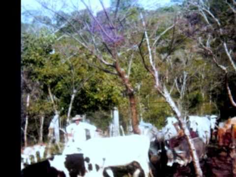 JUAN EL PESCADOR ESTRELLAS DE PLATA (A MIS PADRES).wmv