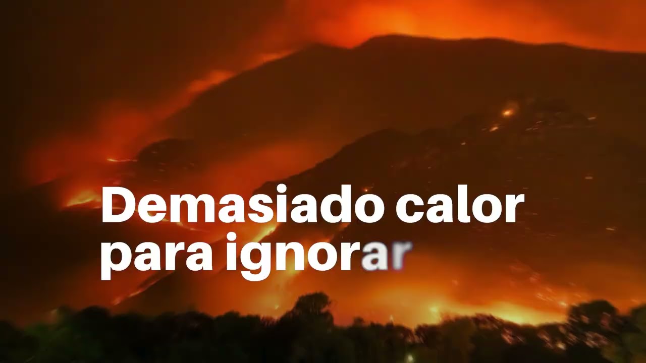Día Mundial del Medio Ambiente 2026