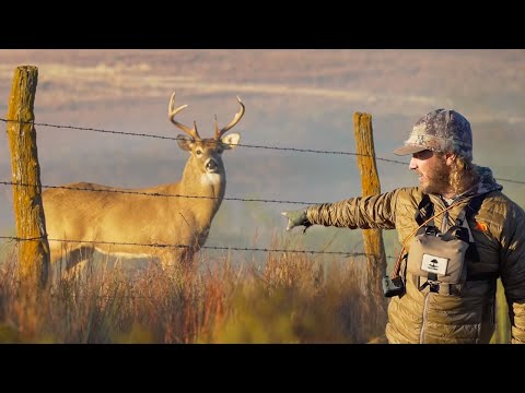 RUT on Fire! | RATTLING in Bucks To a Decoy!