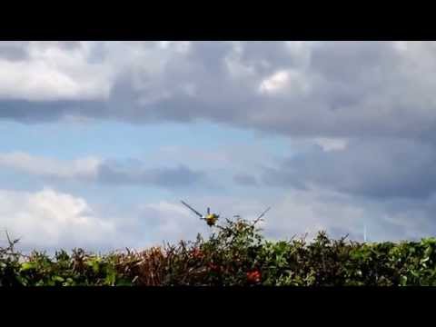 P51 Mustang low pass at Old Sarum 12/9/2015