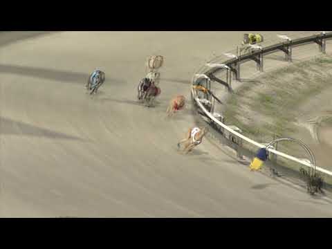 Albion-Park-Sunday-17072022-Race-4