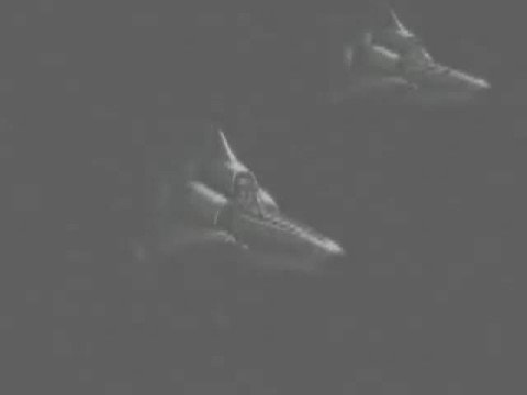 BattleStar Pegasus: Fighting To The Last