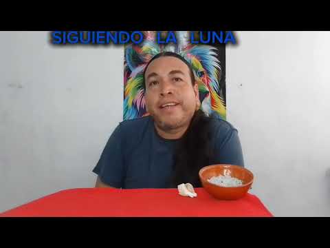 SIGUIENDO LA LUNA.  Día 07 Luna Creciente. XOCHIPILLI