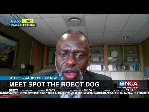 Meet spot the robot dog