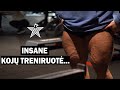 INSANE KOJŲ TRENIRUOTĖ | KAIP PADIDINTI KOJŲ RAUMENIS