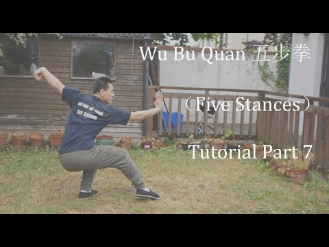 Wu Bu Quan 五步拳 (Five stances form) Part 7 -Completion -Master Yan Xin