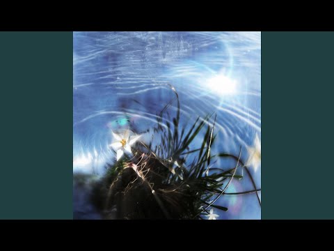 future perfect (feat. botanical anomaly) (blue.garden dream mix)