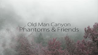 Old Man Canyon - Phantoms &amp; Friends (Lyrics)